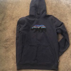 COPY - Patagonia Hoodie